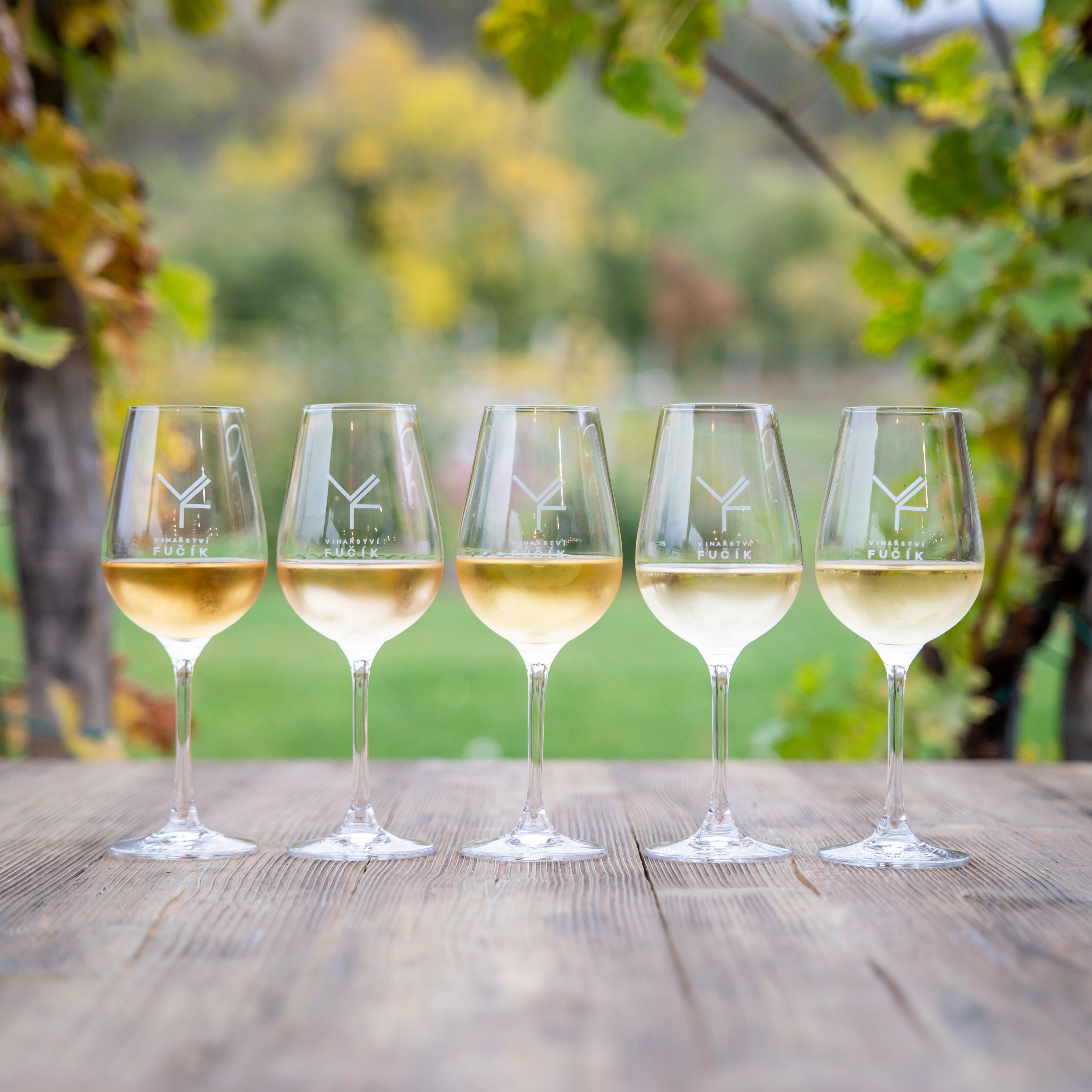 Degustační sobota ve Vinařství Fučík