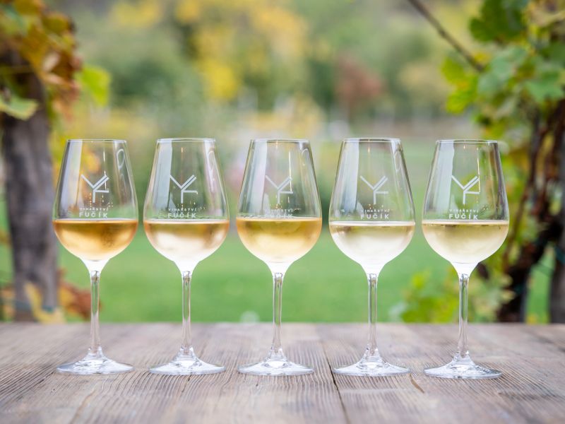 Degustační sobota ve Vinařství Fučík