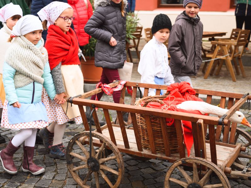 Svatomartinský Mikulov