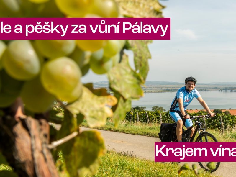 Krajem vína - Na kole a pěšky za vůní Pálavy 2026